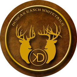 Deer Brand Logo