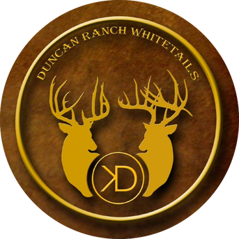 Deer Brand Logo